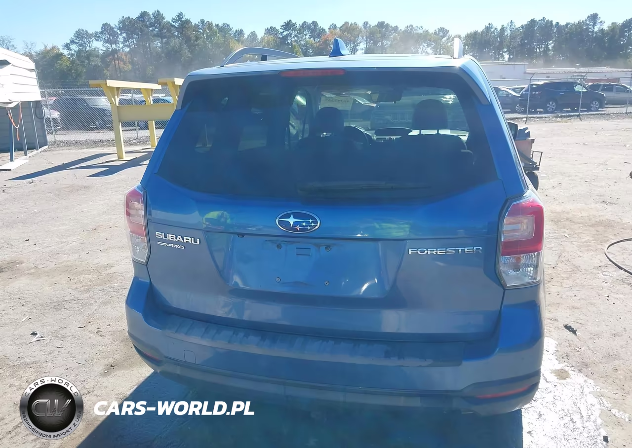 2018 Subaru Forester 2.5I Premium VIN:JF2SJAECXJH453173 - 16