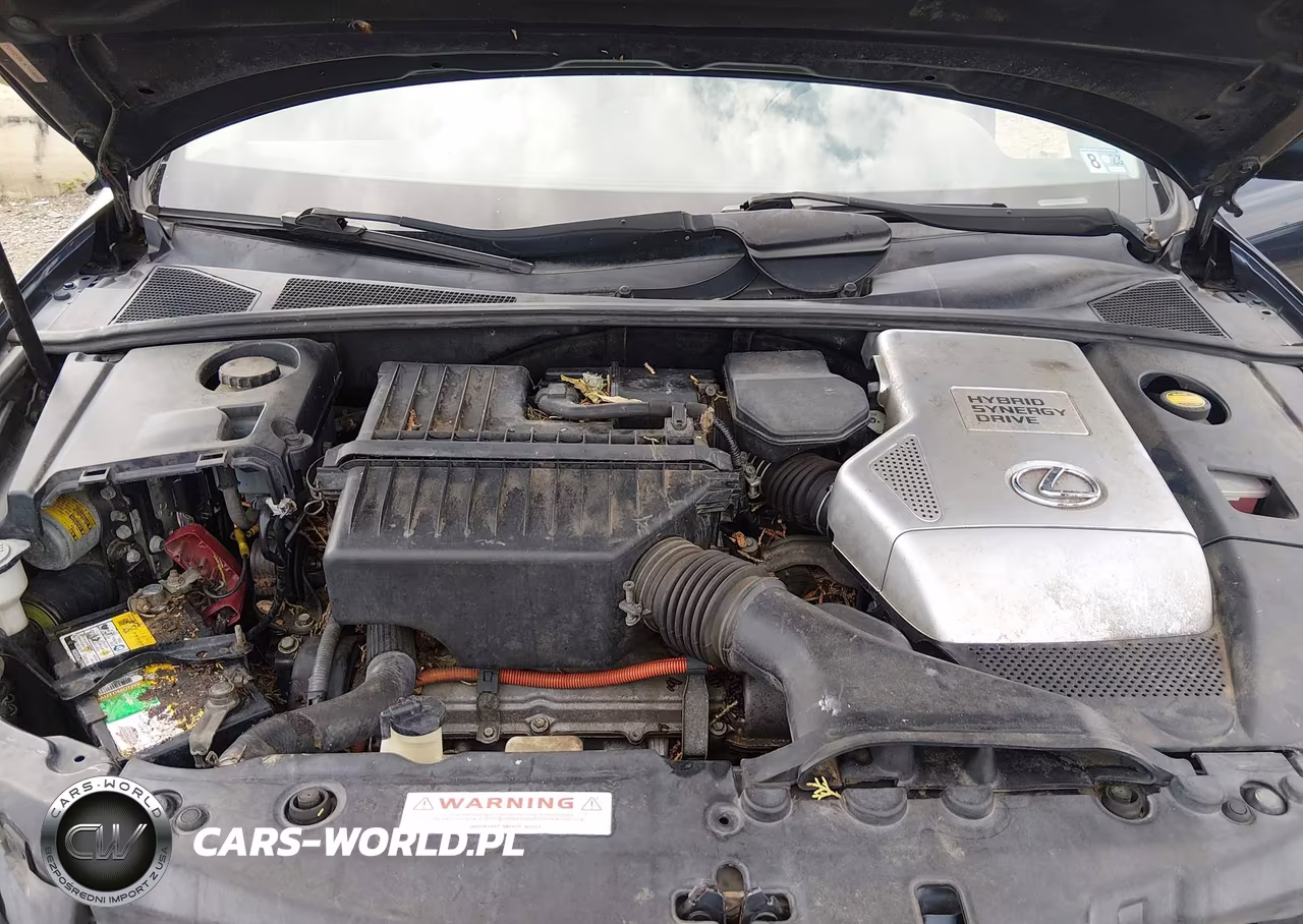 2006 Lexus Rx 400H VIN:JTJHW31U260006313 - 10