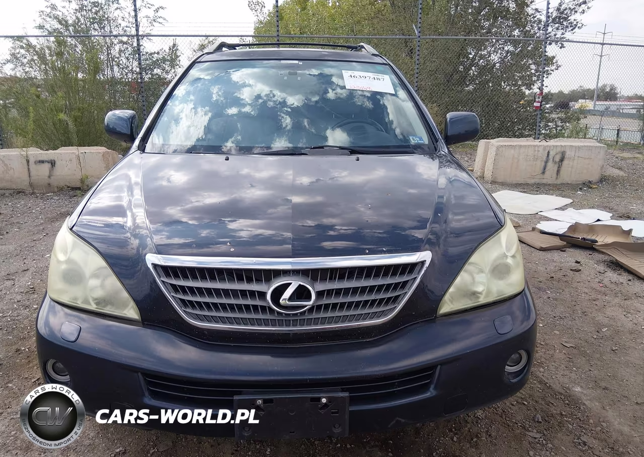2006 Lexus Rx 400H VIN:JTJHW31U260006313 - 6