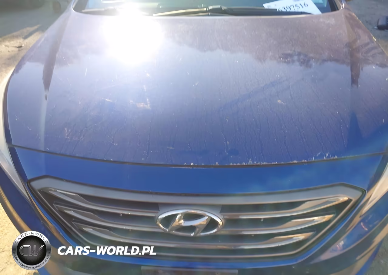 2015 Hyundai Sonata Sport VIN:5NPE34AF5FH140841 - 6