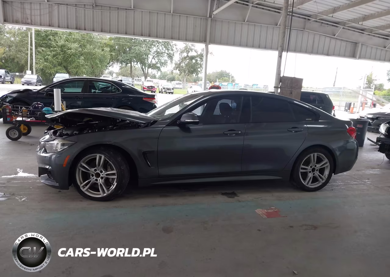 2018 BMW 430I Gran Coupe VIN:WBA4J1C58JBG77573 - 15