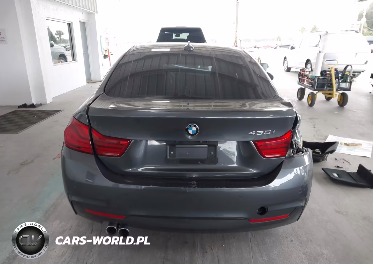 2018 BMW 430I Gran Coupe VIN:WBA4J1C58JBG77573 - 17