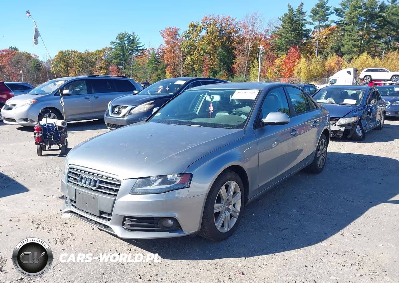 2010 Audi A4 2.0T Premium VIN:WAUBFAFL4AN007890 - 2