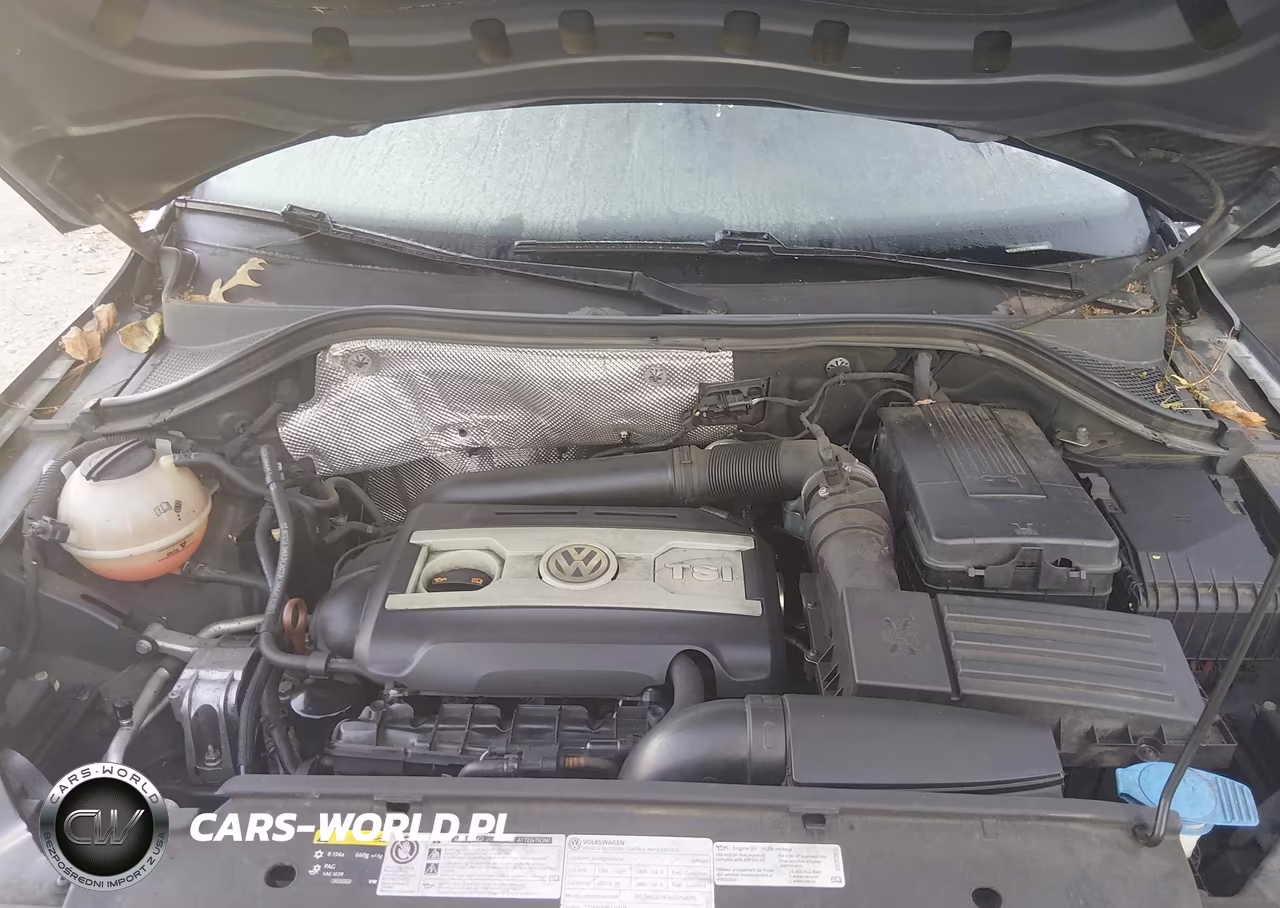 2013 Volkswagen Tiguan Se VIN:WVGAV3AX7DW586603 - 10
