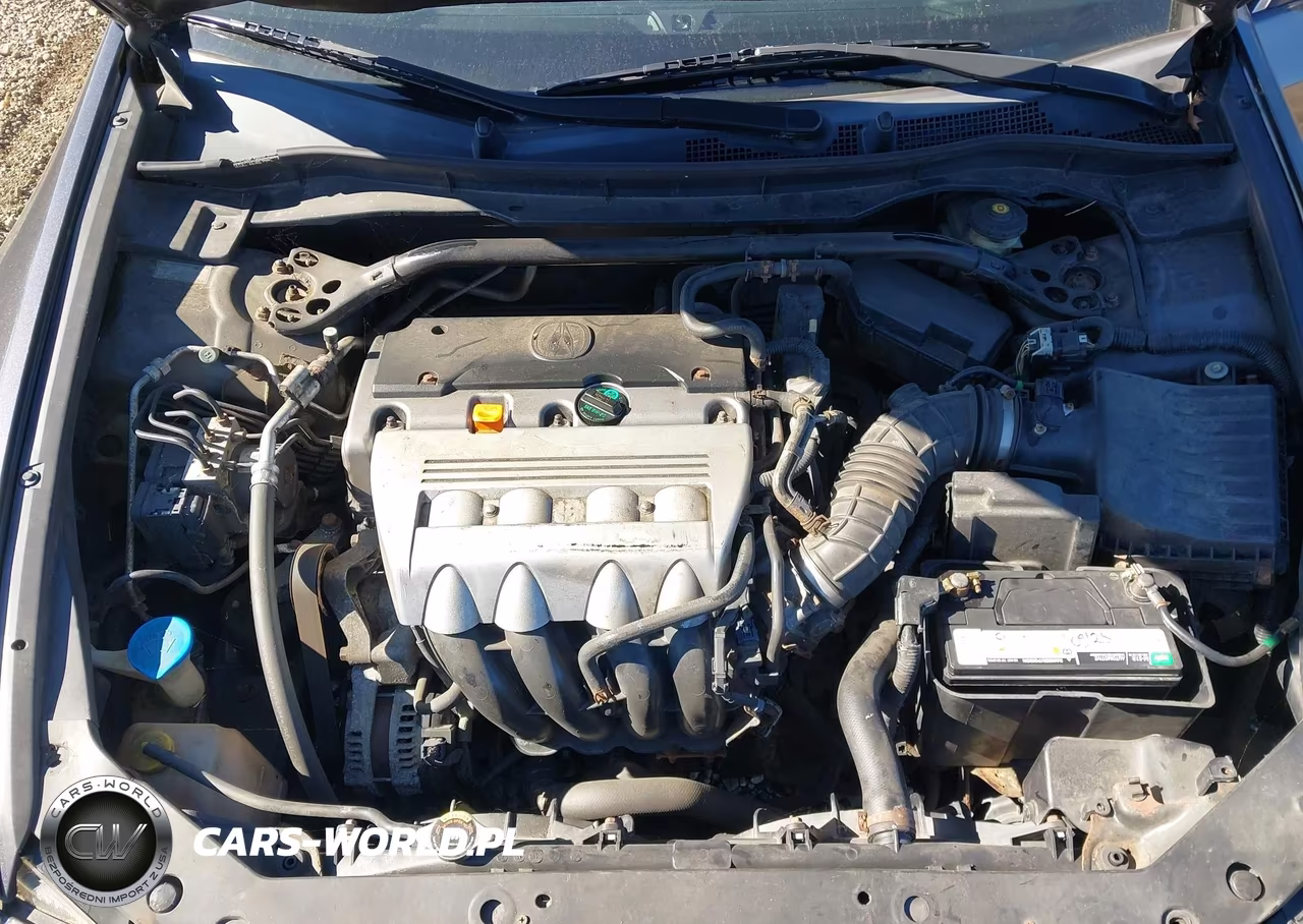 2009 Acura Tsx VIN:JH4CU266X9C008495 - 10