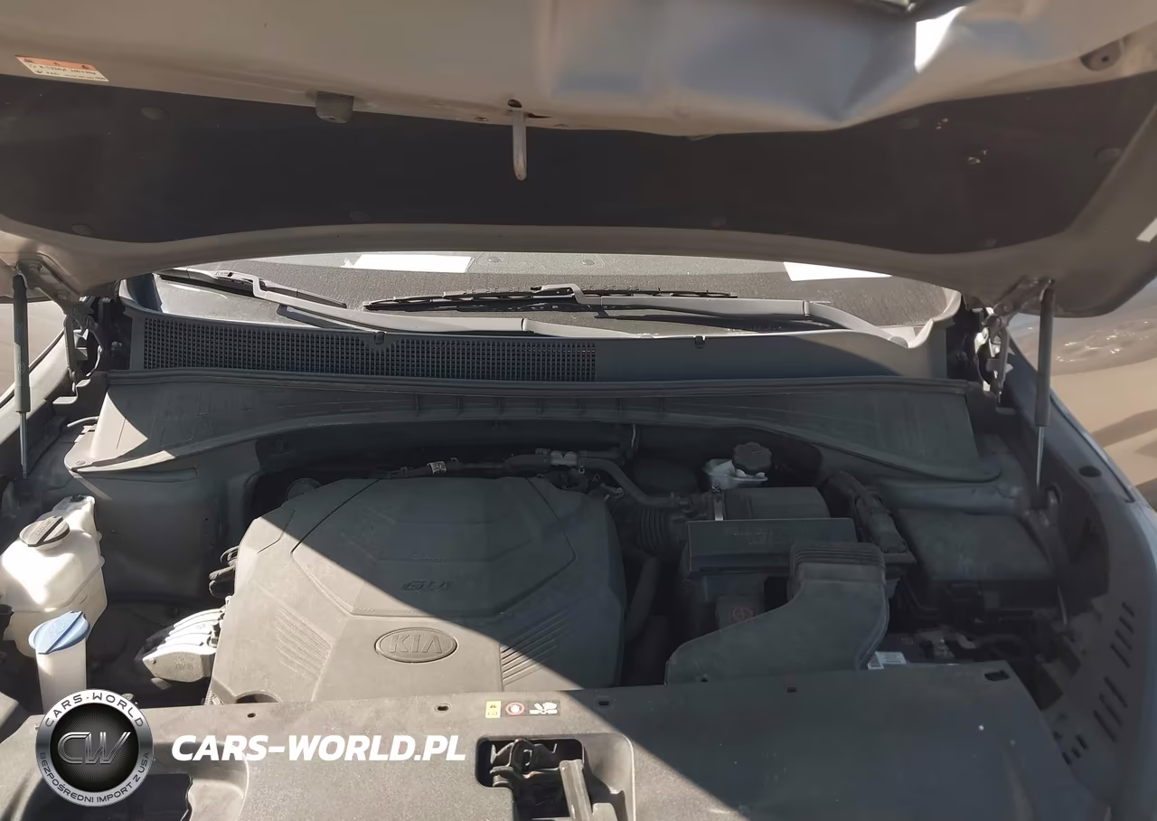 2019 Kia Sorento 3.3L Lx VIN:5XYPG4A55KG452602 - 10