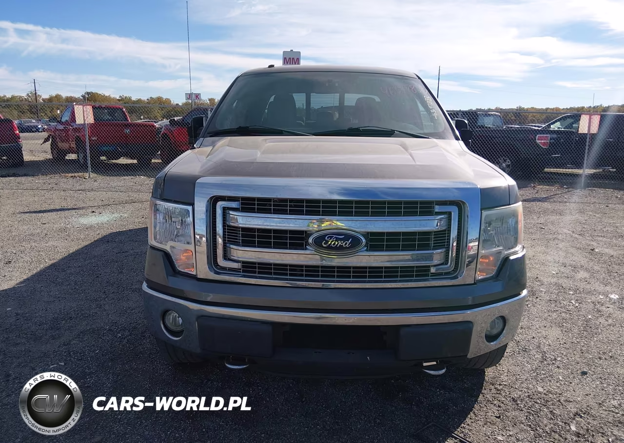2013 Ford F-150 Xlt VIN:1FTFW1EF4DKD18614 - 13