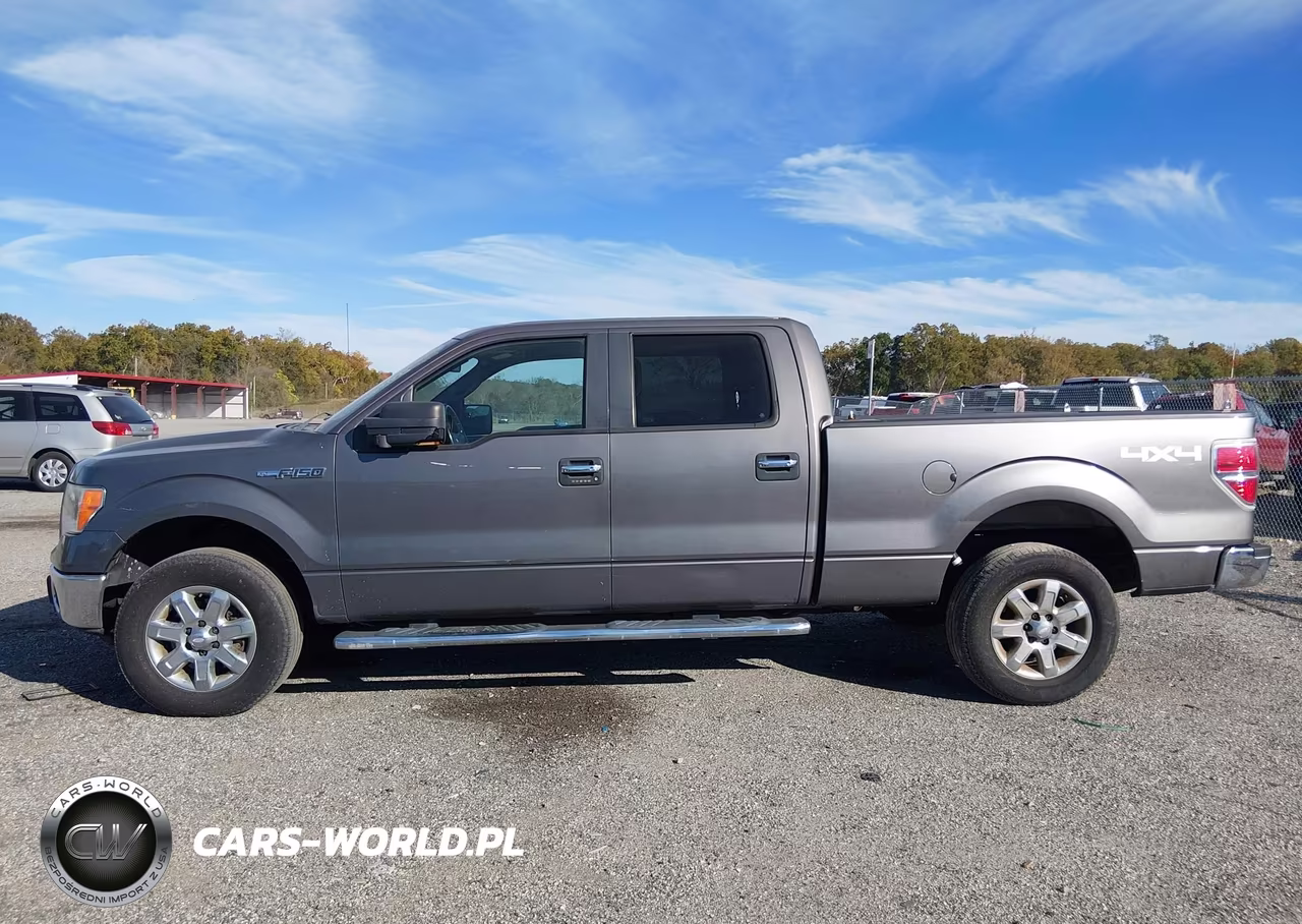 2013 Ford F-150 Xlt VIN:1FTFW1EF4DKD18614 - 15