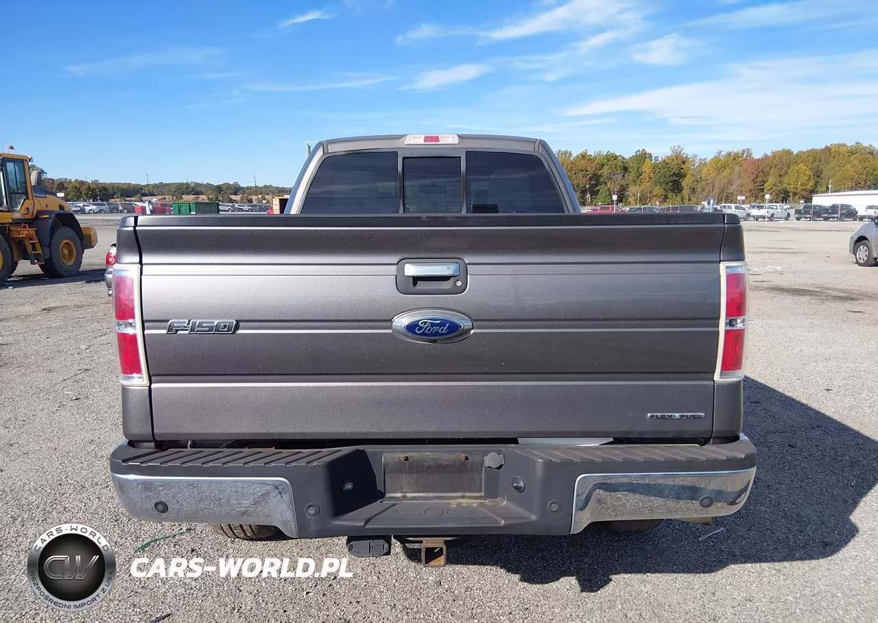 2013 Ford F-150 Xlt VIN:1FTFW1EF4DKD18614 - 17