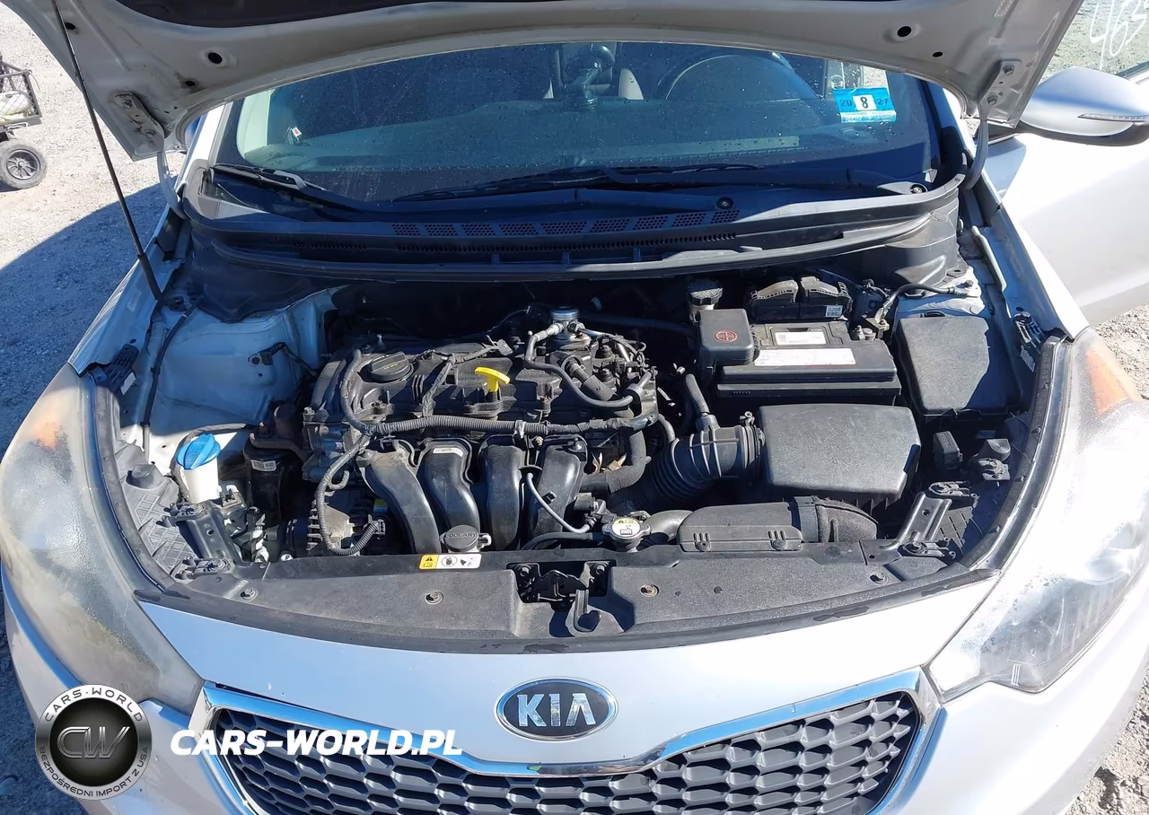 2015 Kia Forte Ex VIN:KNAFX4A82F5262354 - 10