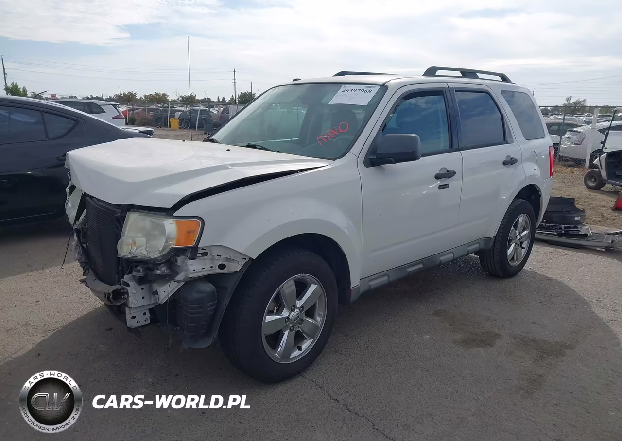 2011 Ford Escape Xlt VIN:1FMCU0D79BKA14877 - 2