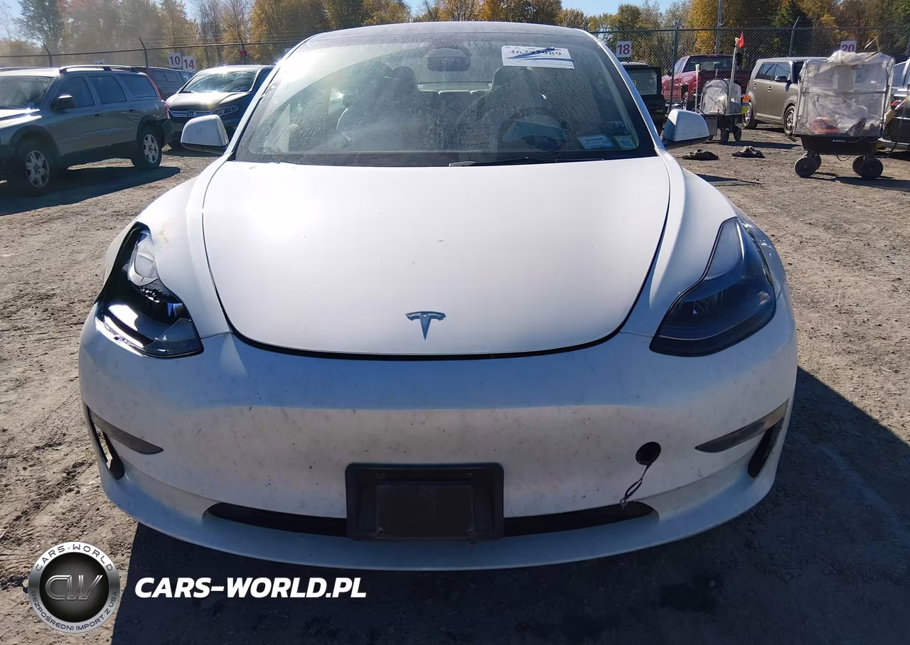 2023 Tesla Model 3 Performance Dual Motor All-Wheel Drive VIN:5YJ3E1EC8PF552817 - 11