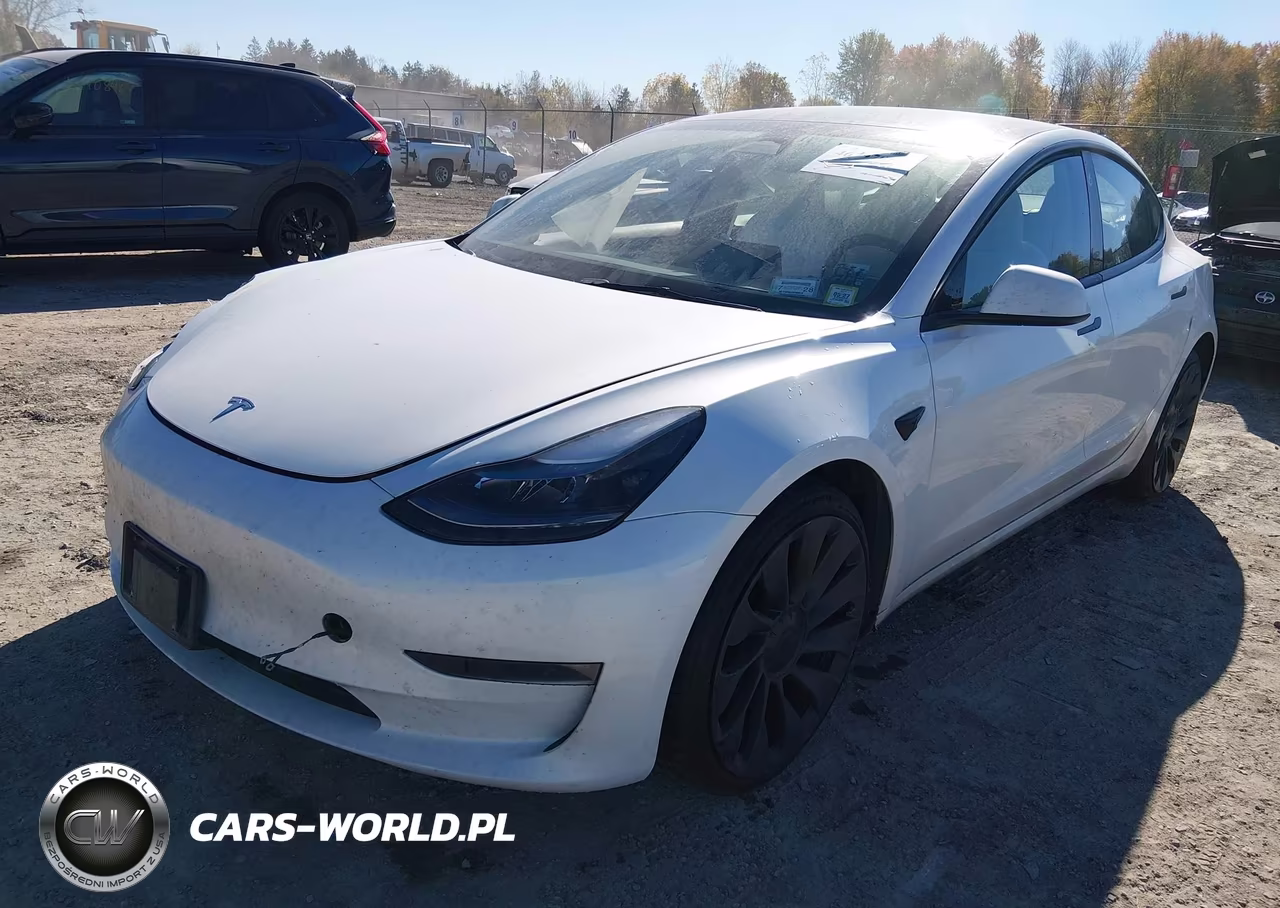 2023 Tesla Model 3 Performance Dual Motor All-Wheel Drive VIN:5YJ3E1EC8PF552817 - 2