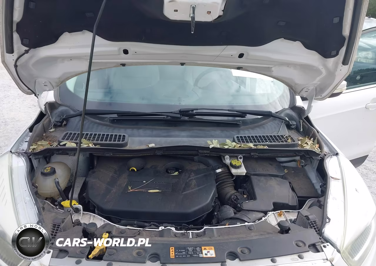 2017 Ford Escape Titanium VIN:1FMCU9J99HUE25056 - 10