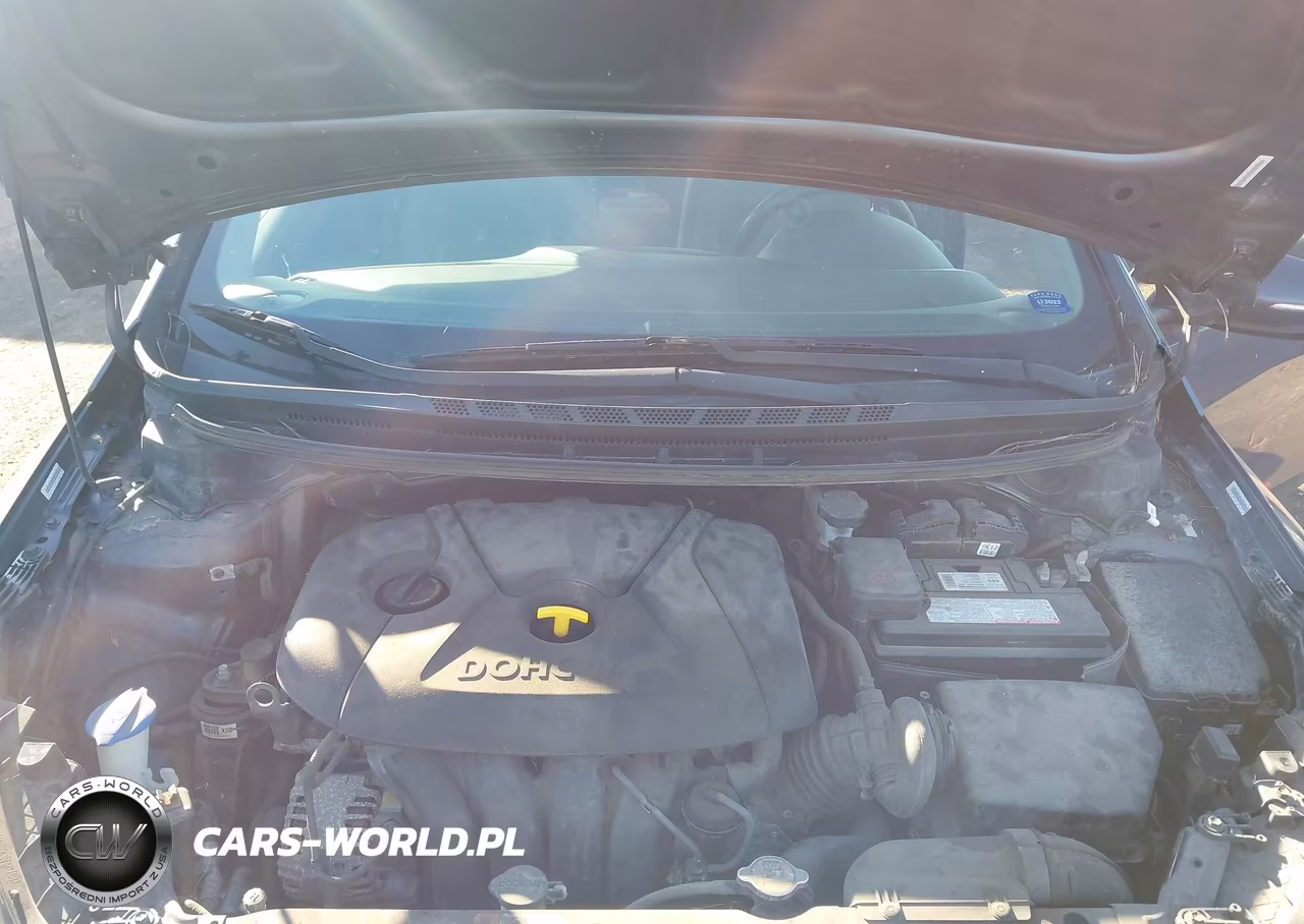 2015 Kia Forte Lx VIN:KNAFX4A69F5392906 - 10
