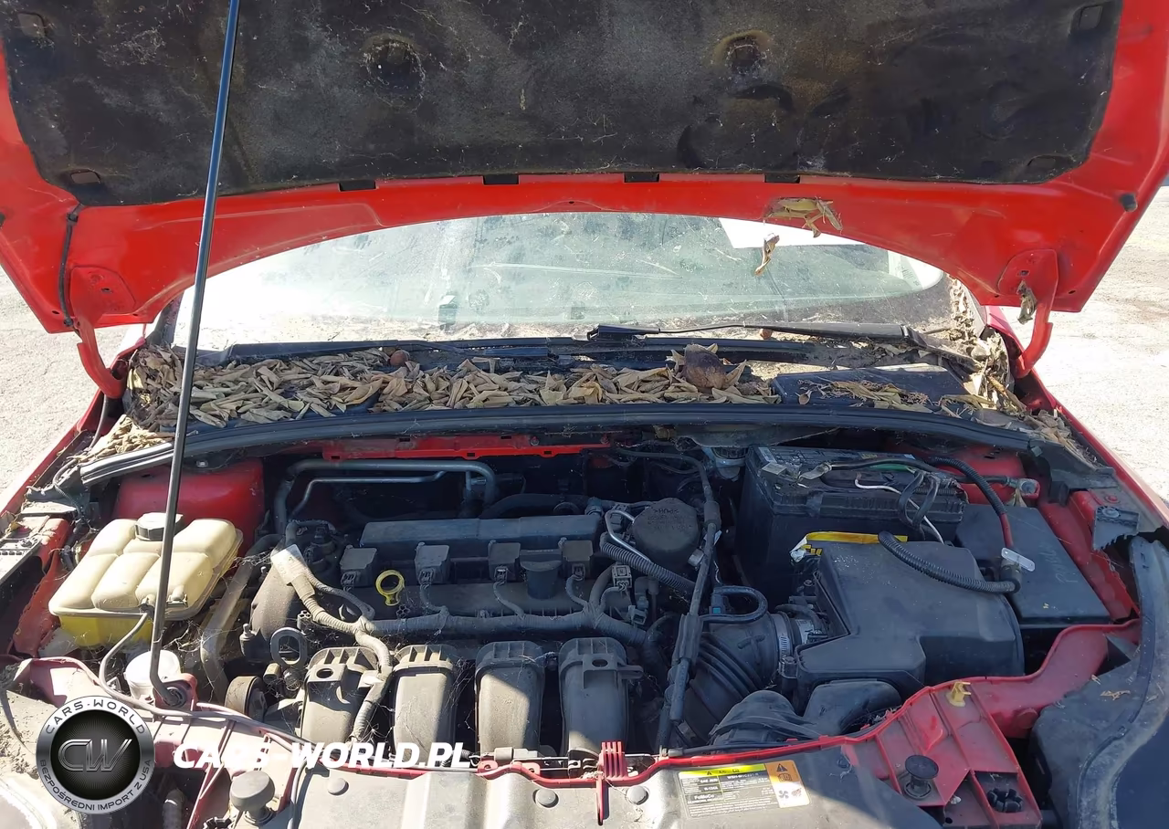 2012 Ford Focus Sel VIN:1FAHP3M22CL162359 - 10