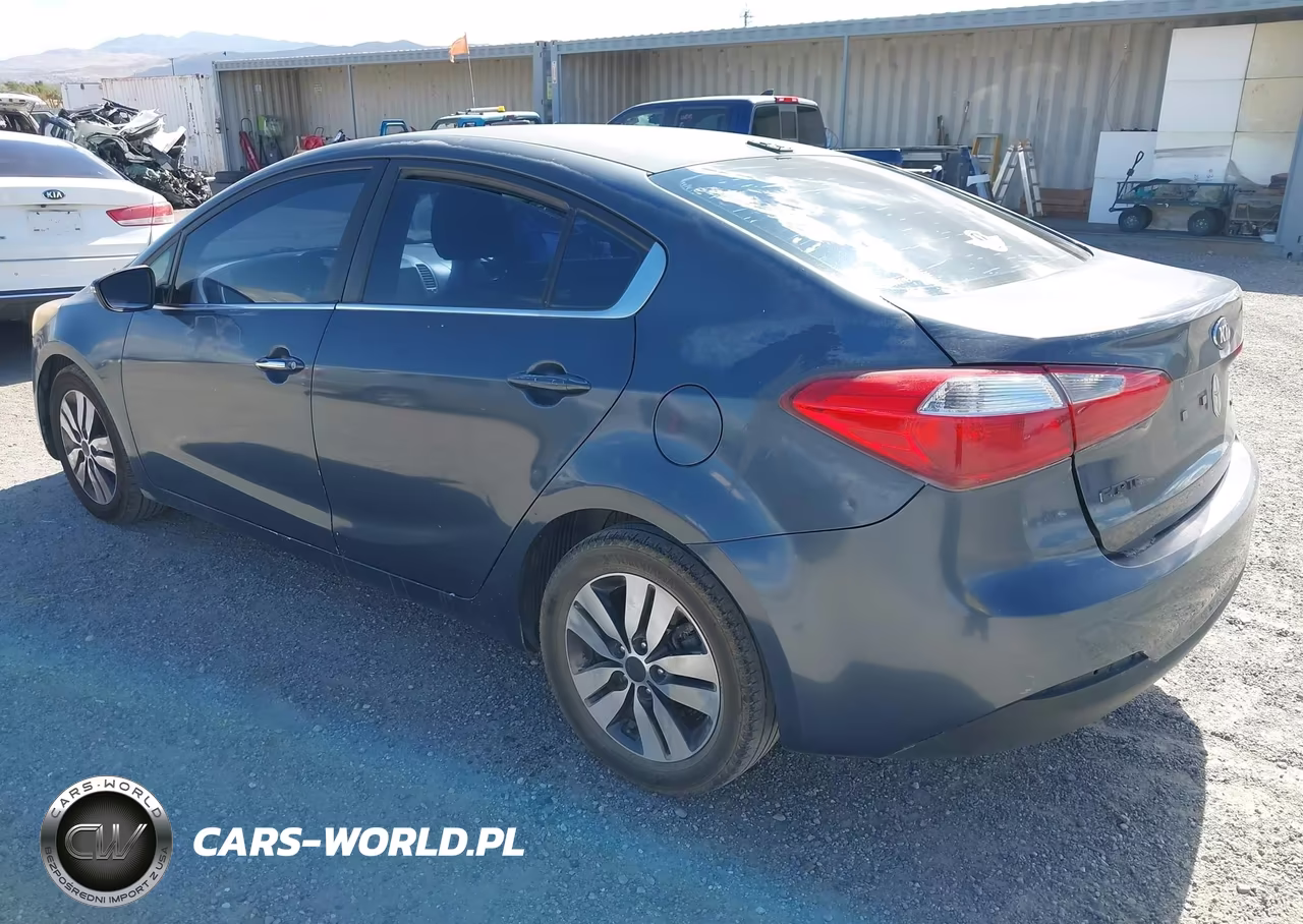 2014 Kia Forte Ex VIN:KNAFX4A87E5067980 - 3