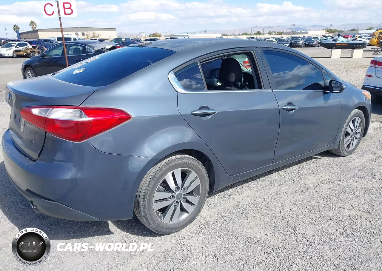 2014 Kia Forte Ex VIN:KNAFX4A87E5067980 - 4