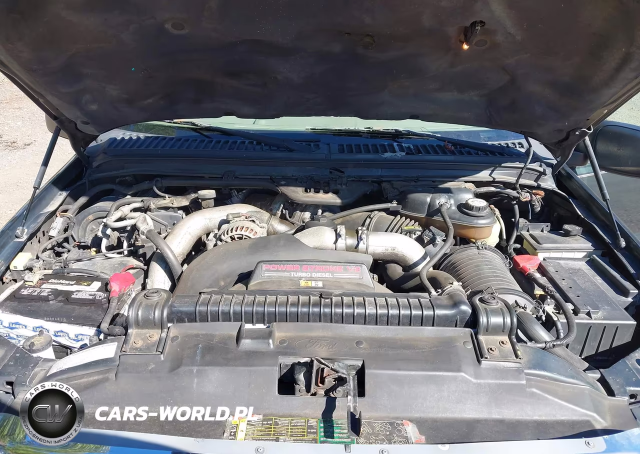 2003 Ford Excursion Limited VIN:1FMSU43P83ED20344 - 10