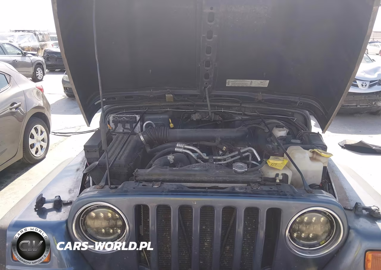 2002 Jeep Wrangler Sport VIN:1J4FA49S42P745468 - 10