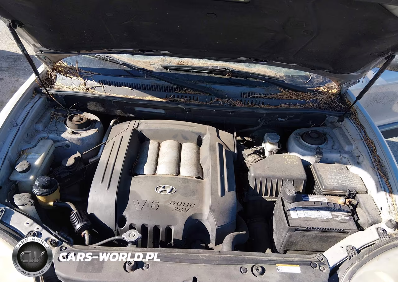 2006 Hyundai Santa Fe Gls VIN:KM8SC73DX6U105097 - 10