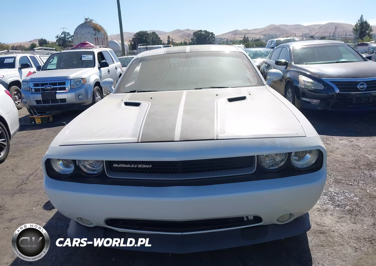 2013 Dodge Challenger R-T Plus VIN:2C3CDYBT7DH741937 - 12