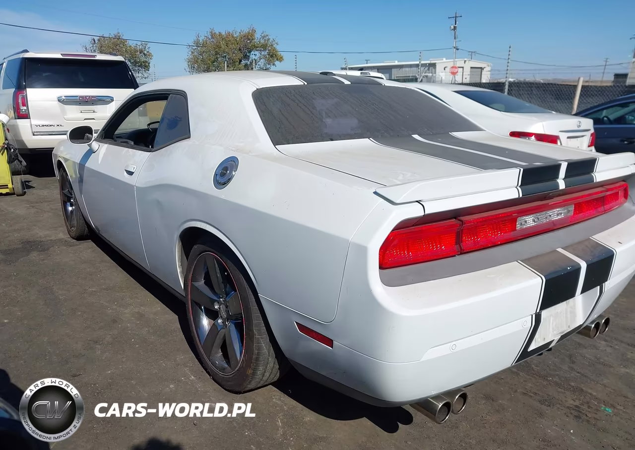 2013 Dodge Challenger R-T Plus VIN:2C3CDYBT7DH741937 - 3