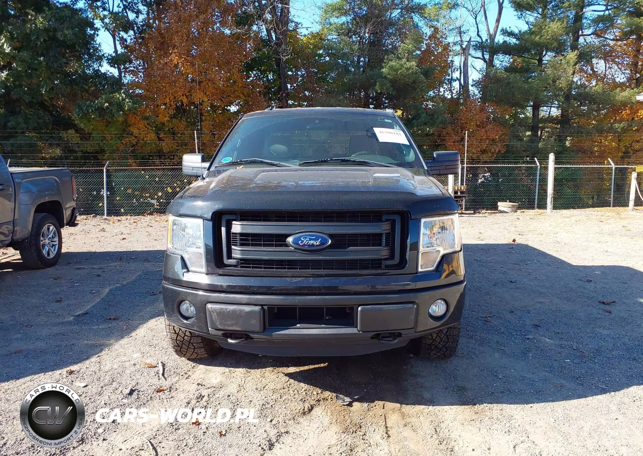 2014 Ford F-150 Stx VIN:1FTEX1EM9EFC29137 - 13