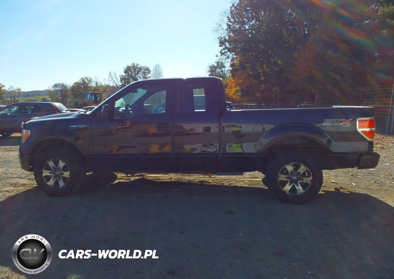 2014 Ford F-150 Stx VIN:1FTEX1EM9EFC29137 - 15