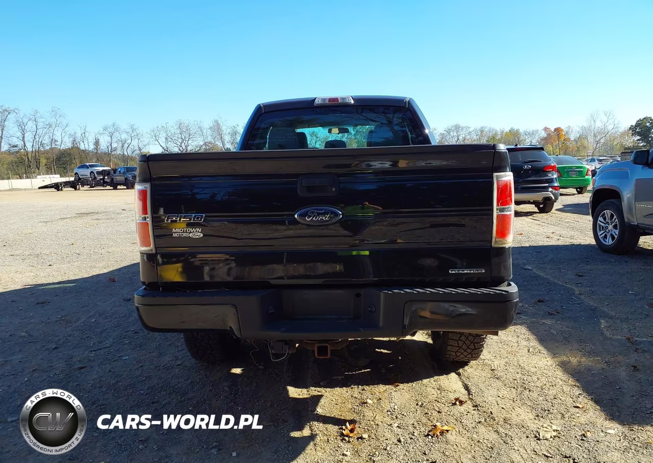 2014 Ford F-150 Stx VIN:1FTEX1EM9EFC29137 - 17
