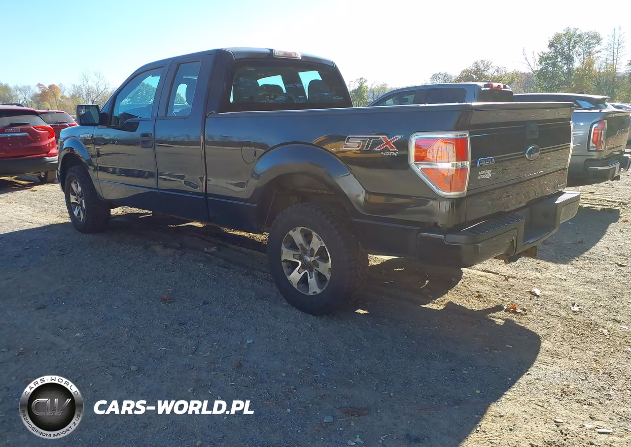 2014 Ford F-150 Stx VIN:1FTEX1EM9EFC29137 - 3