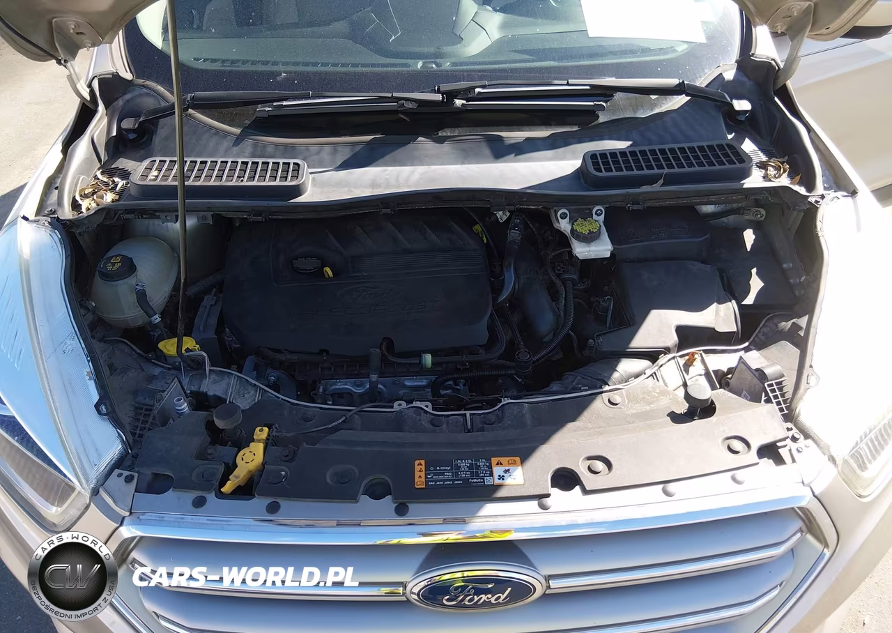 2017 Ford Escape Se VIN:1FMCU0GD5HUE13011 - 10