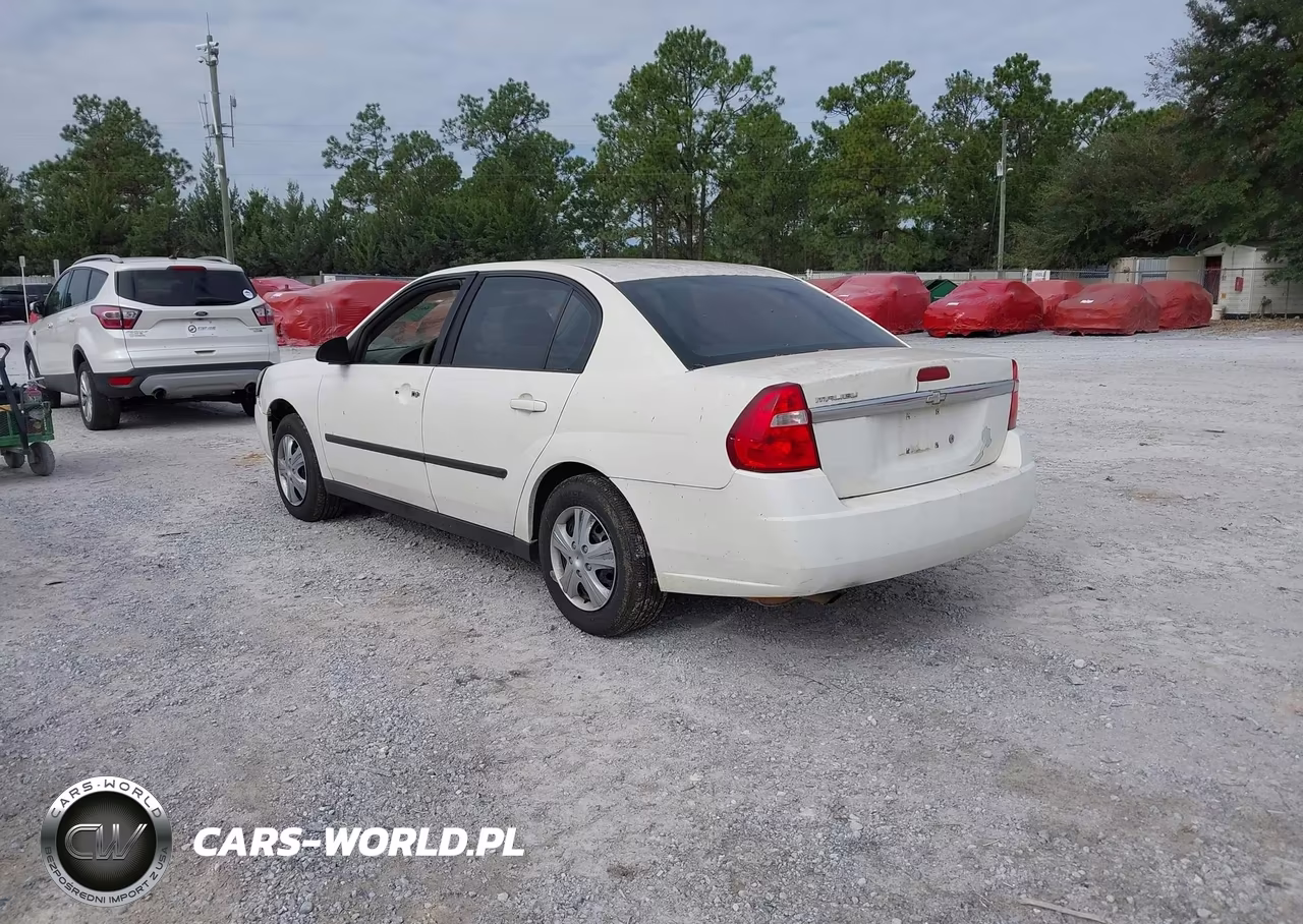 2005 Chevrolet Malibu VIN:1G1ZS52F85F308675 - 3