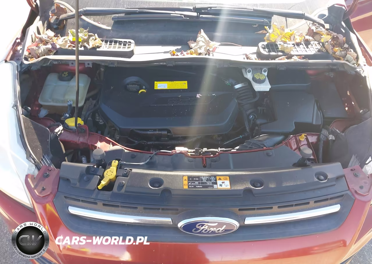 2016 Ford Escape Se VIN:1FMCU9GX8GUC11535 - 10