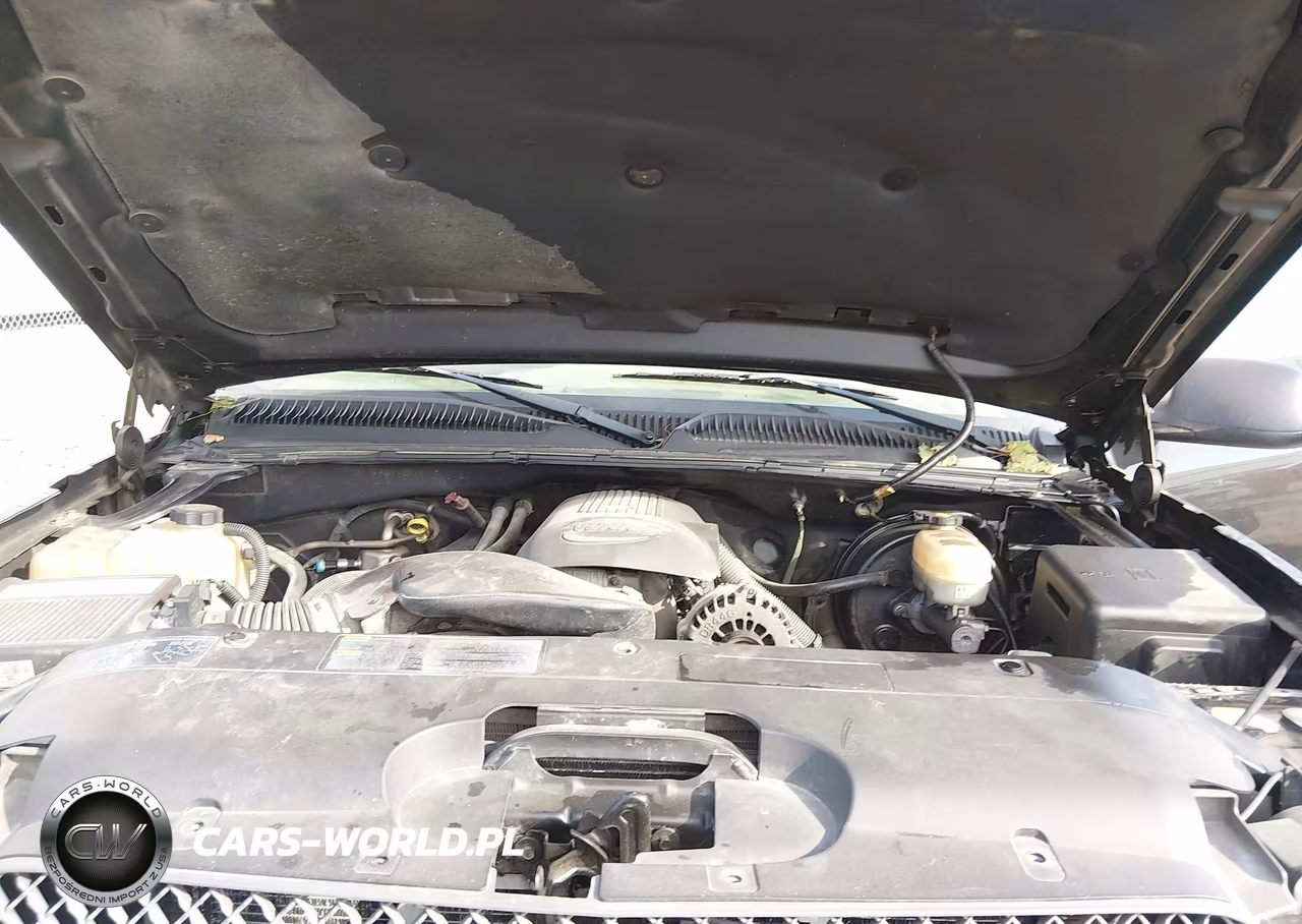 2005 Chevrolet Silverado 1500 Lt VIN:2GCEK13T451323507 - 10