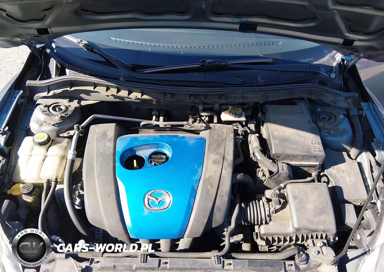 2013 Mazda Mazda3 I Sport VIN:JM1BL1U76D1781443 - 10