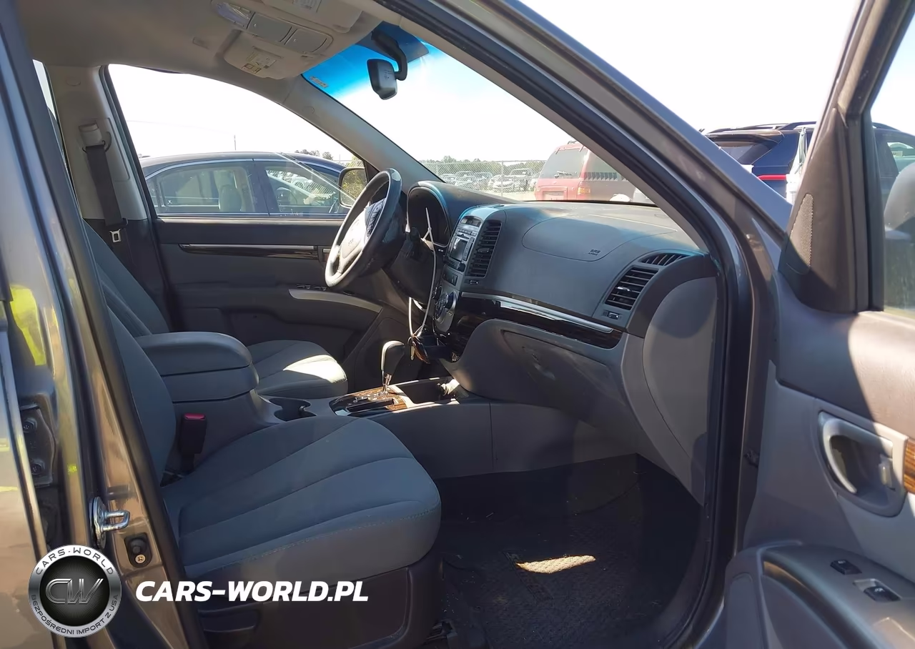 2010 Hyundai Santa Fe Gls VIN:5NMSG3AB9AH395836 - 5