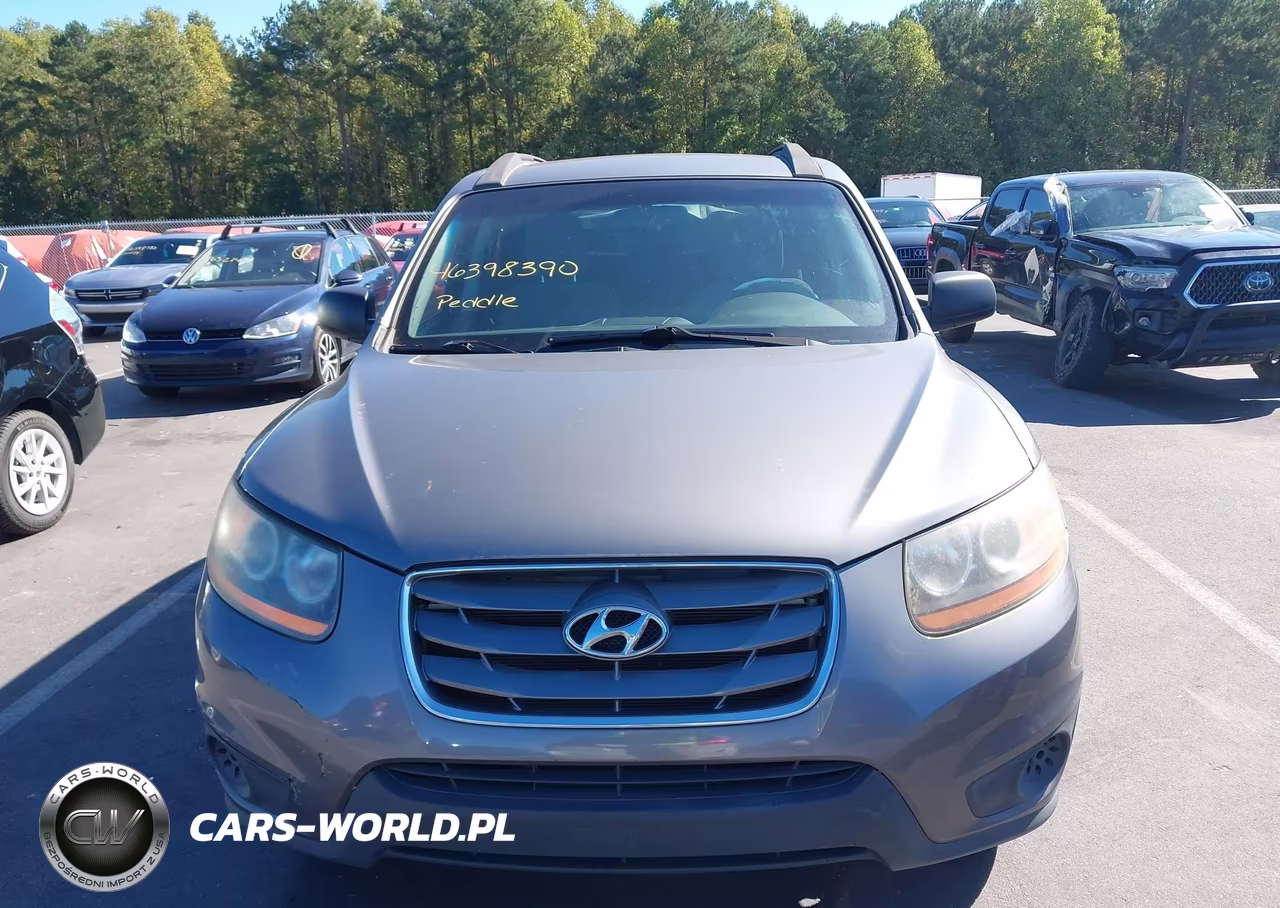 2010 Hyundai Santa Fe Gls VIN:5NMSG3AB9AH395836 - 6