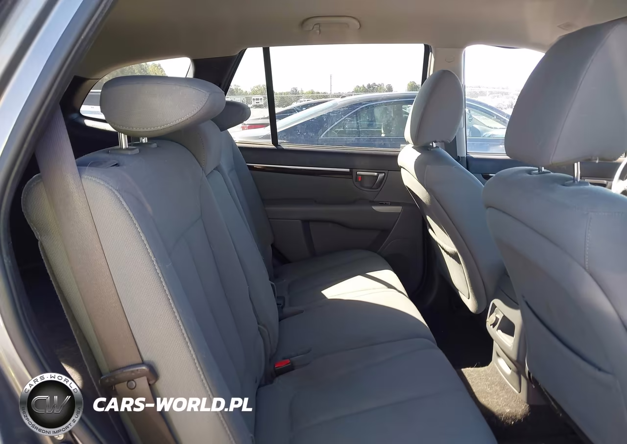 2010 Hyundai Santa Fe Gls VIN:5NMSG3AB9AH395836 - 8