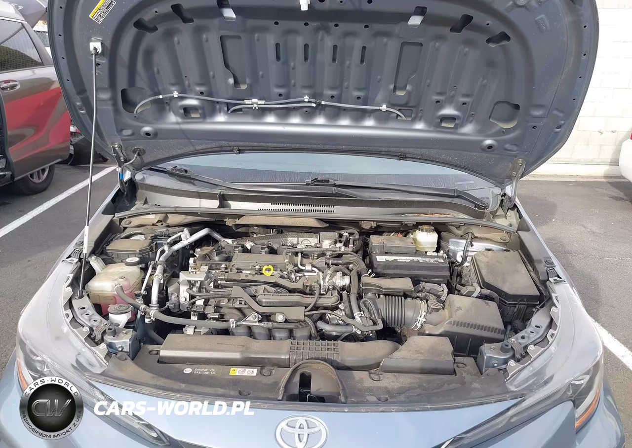 2020 Toyota Corolla Se VIN:JTDS4RCE1LJ024802 - 10