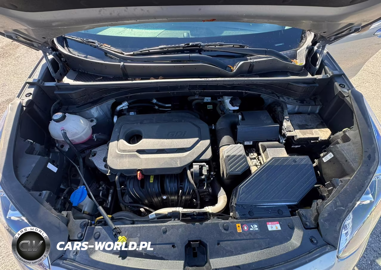 2022 Kia Sportage Lx VIN:KNDPM3AC1N7990393 - 10