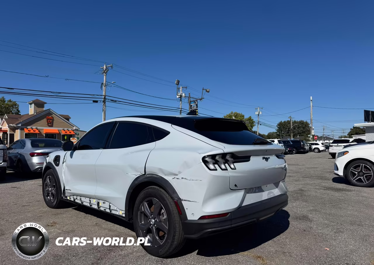 2023 Ford Mustang Mach-E Select VIN:3FMTK1SS0PMA42585 - 3