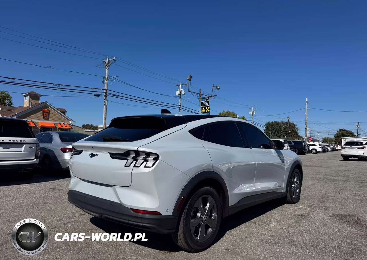 2023 Ford Mustang Mach-E Select VIN:3FMTK1SS0PMA42585 - 4