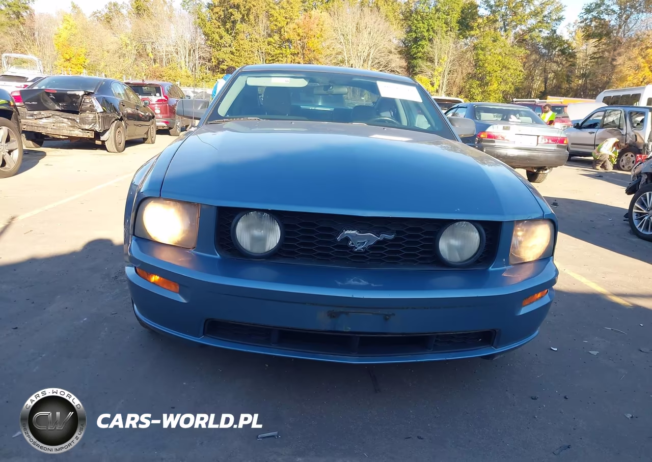 2007 Ford Mustang Gt Deluxe-Gt Premium VIN:1ZVHT82H375302386 - 12