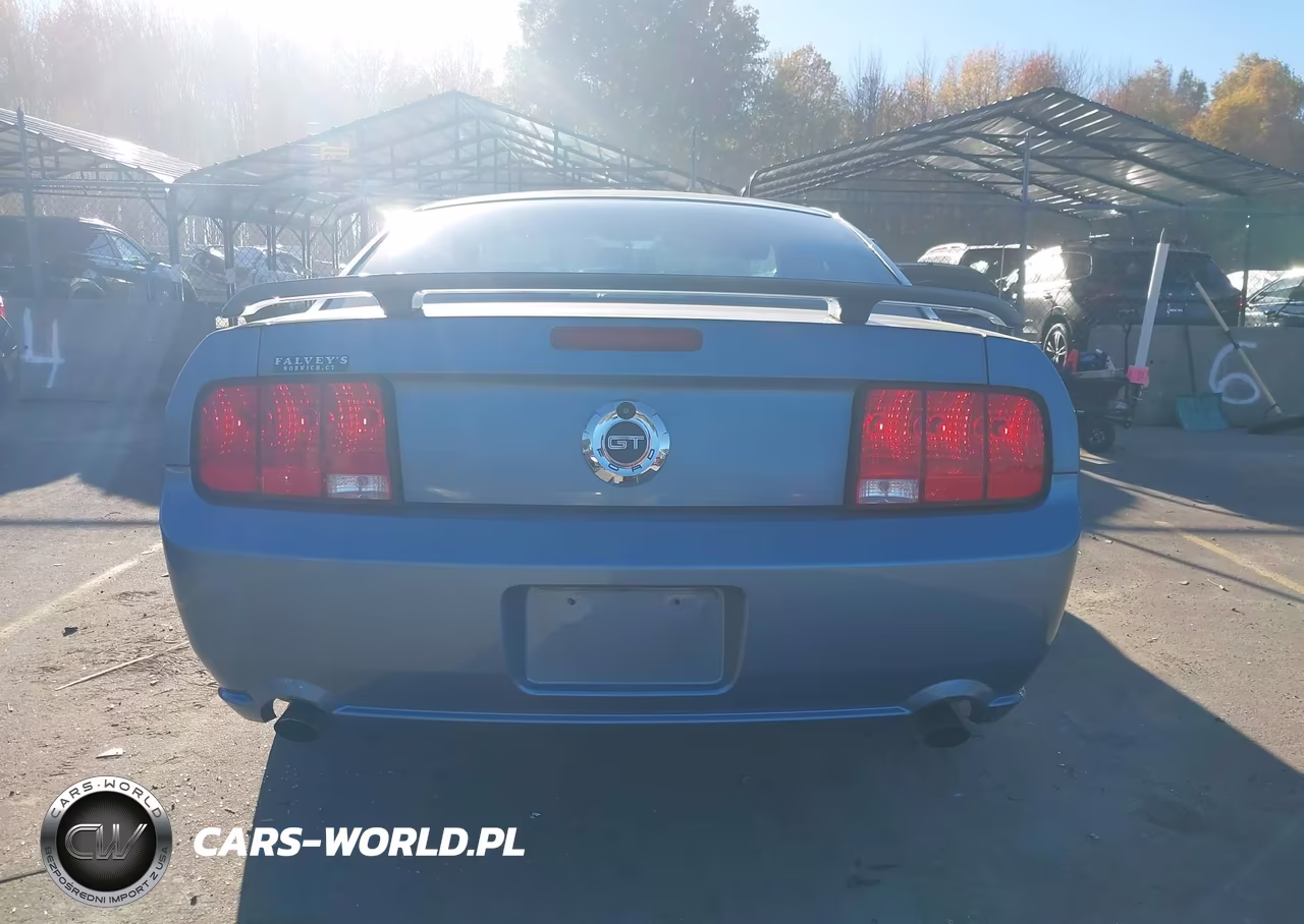 2007 Ford Mustang Gt Deluxe-Gt Premium VIN:1ZVHT82H375302386 - 16