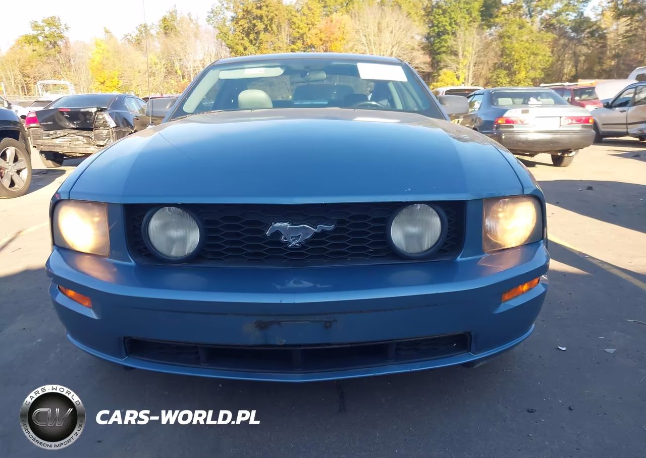 2007 Ford Mustang Gt Deluxe-Gt Premium VIN:1ZVHT82H375302386 - 6