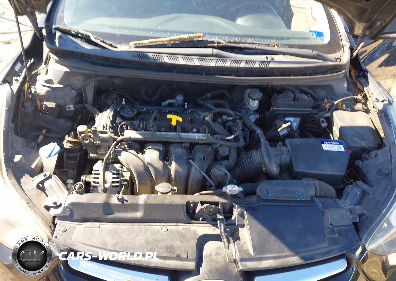 2016 Hyundai Elantra Value Edition VIN:KMHDH4AEXGU490716 - 10