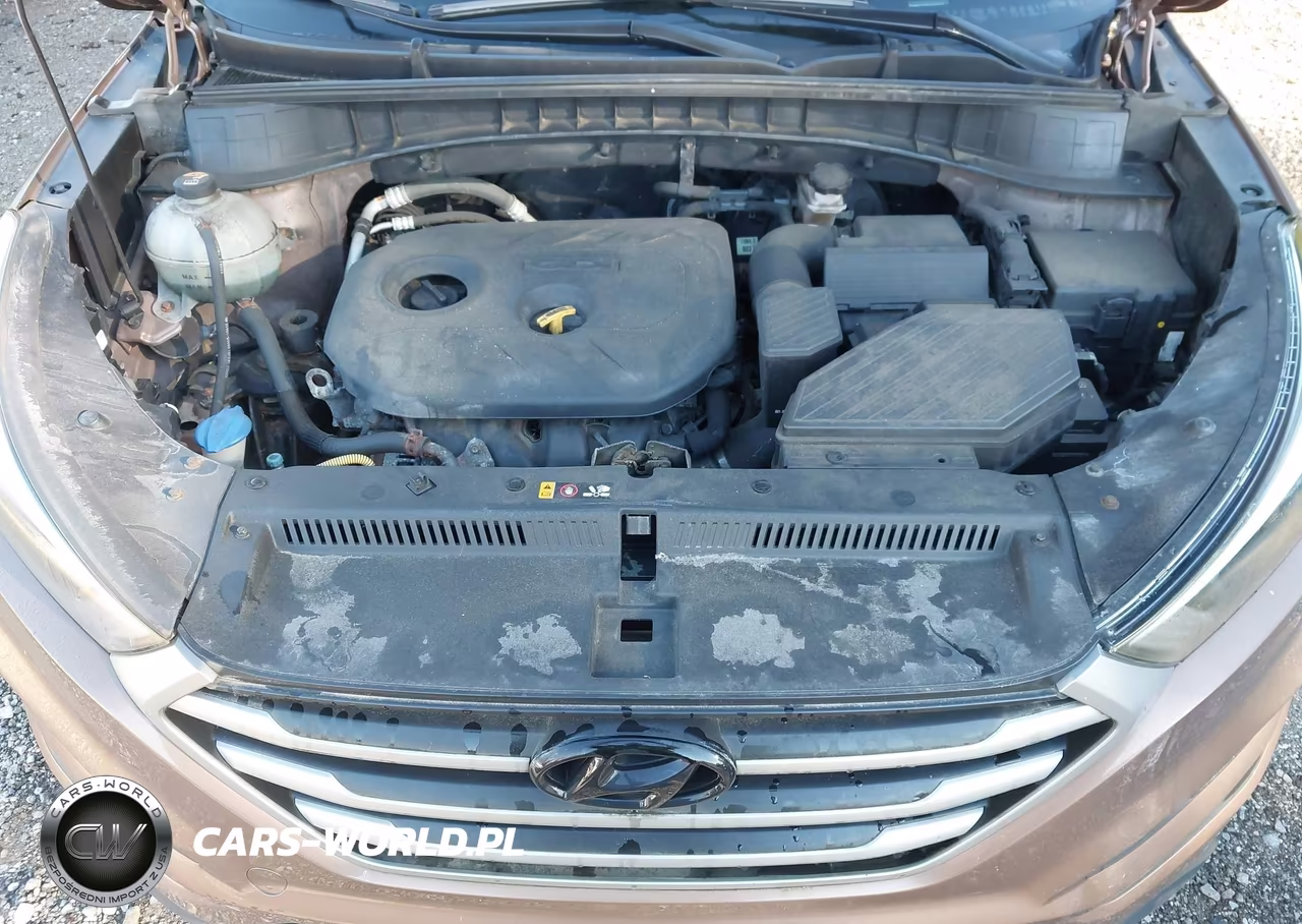 2017 Hyundai Tucson Se VIN:KM8J33A45HU518202 - 10