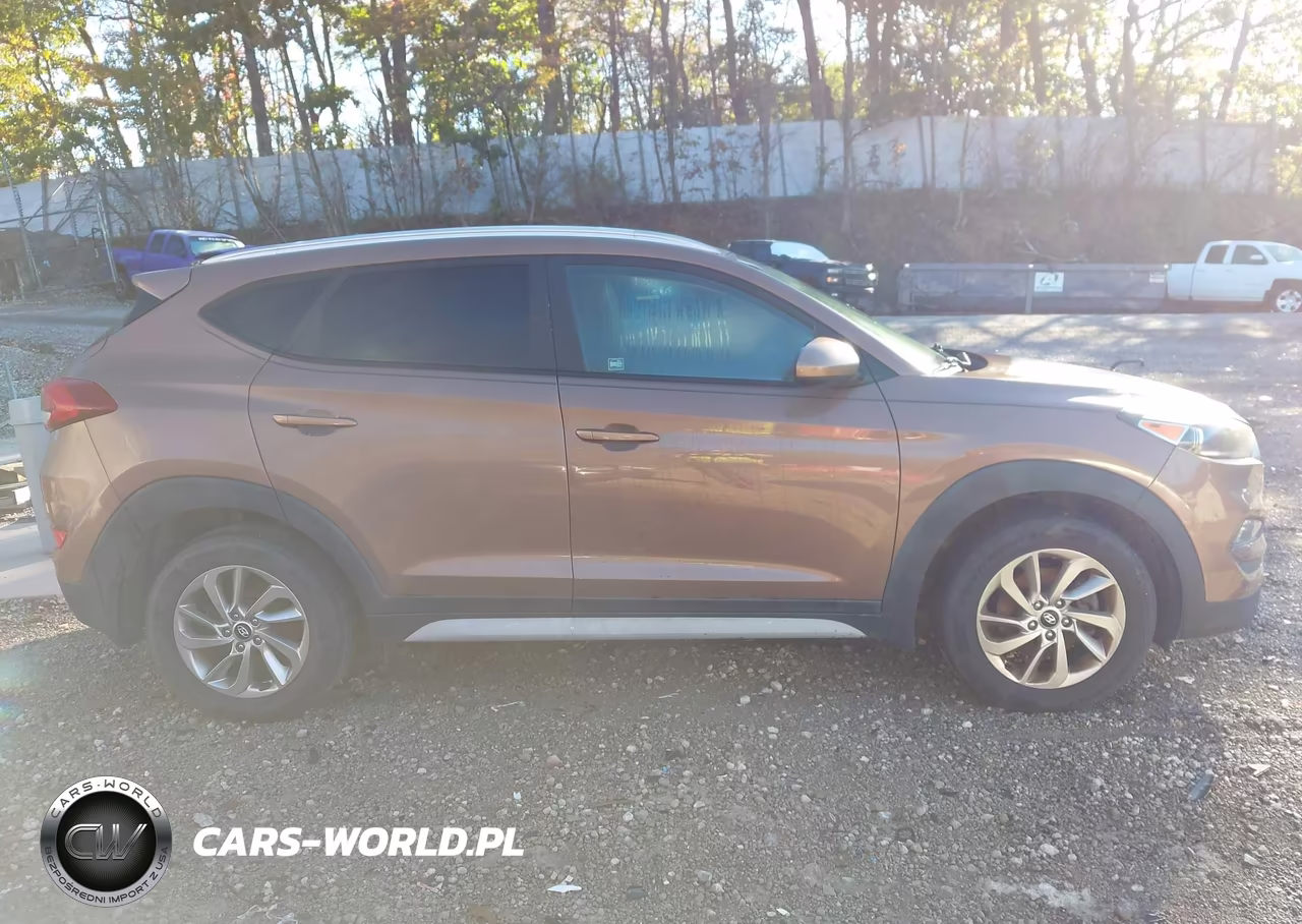 2017 Hyundai Tucson Se VIN:KM8J33A45HU518202 - 13