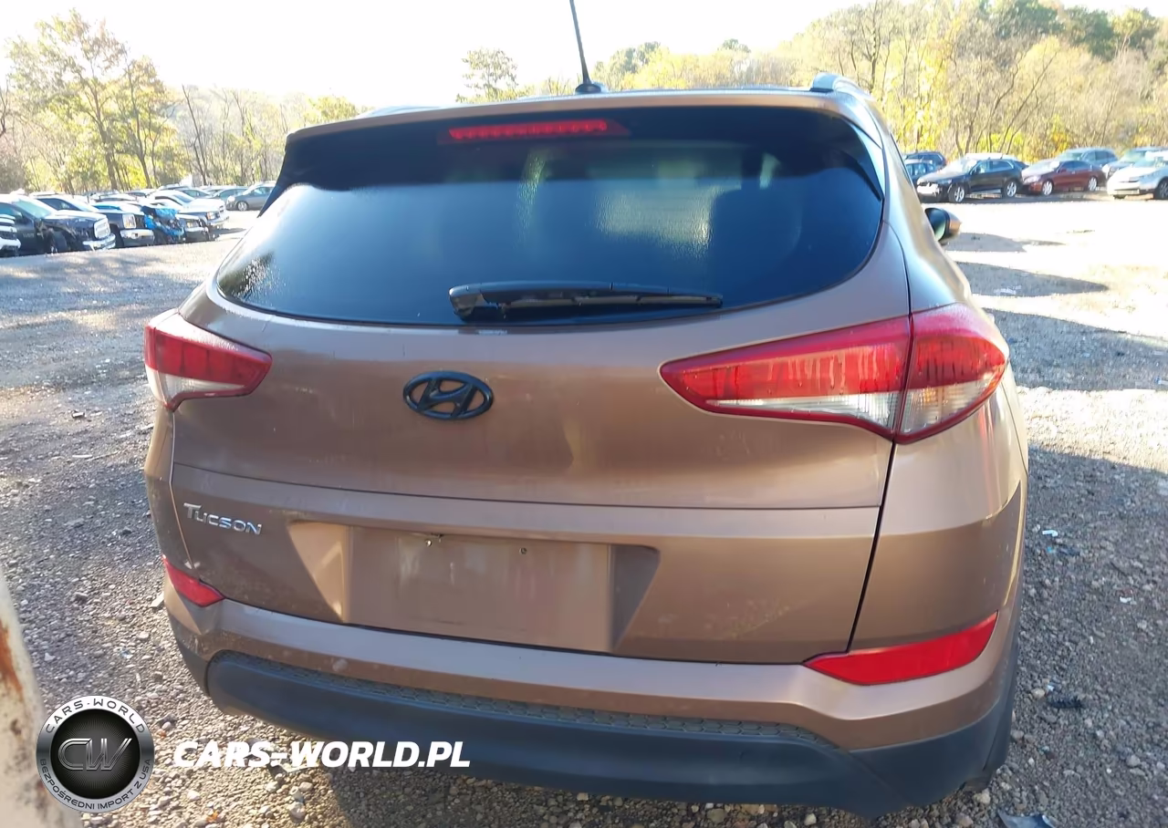 2017 Hyundai Tucson Se VIN:KM8J33A45HU518202 - 16